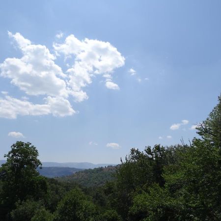 Al Patio Villa Los Loros Dış mekan fotoğraf