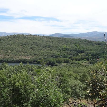 Al Patio Villa Los Loros Dış mekan fotoğraf