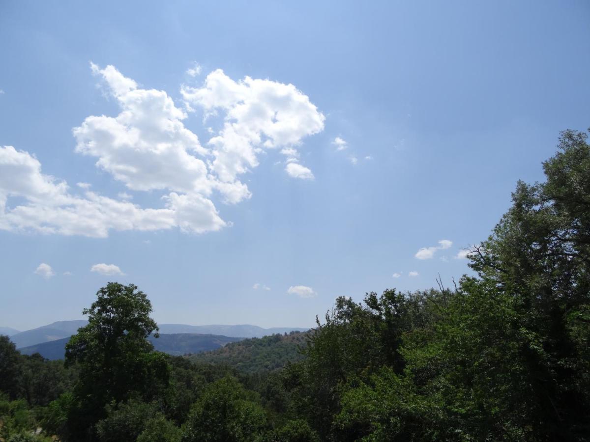 Al Patio Villa Los Loros Dış mekan fotoğraf