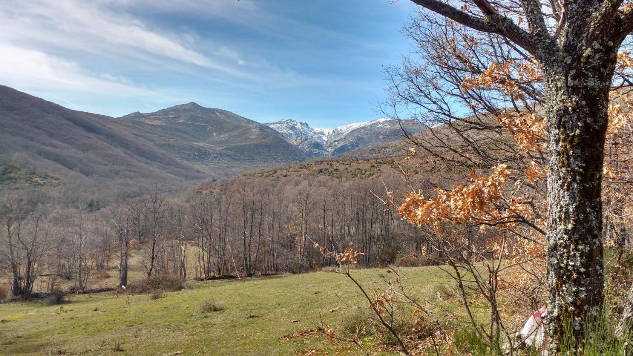 Al Patio Villa Los Loros Dış mekan fotoğraf