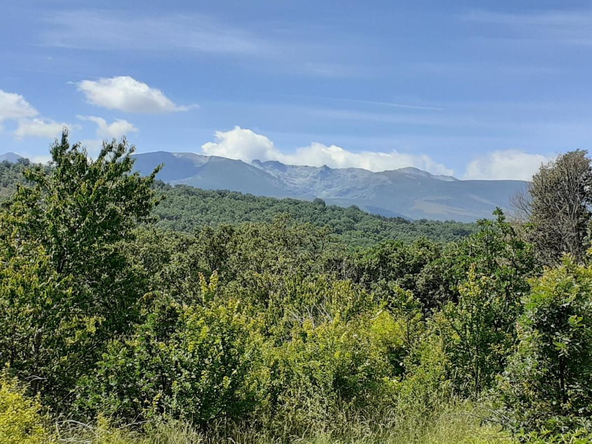 Al Patio Villa Los Loros Dış mekan fotoğraf